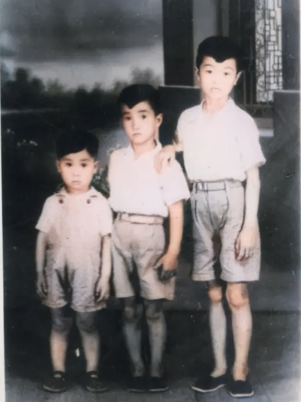 1952年,刘青山张子善被枪毙后,妻子均改嫁,他们儿子过得怎样?