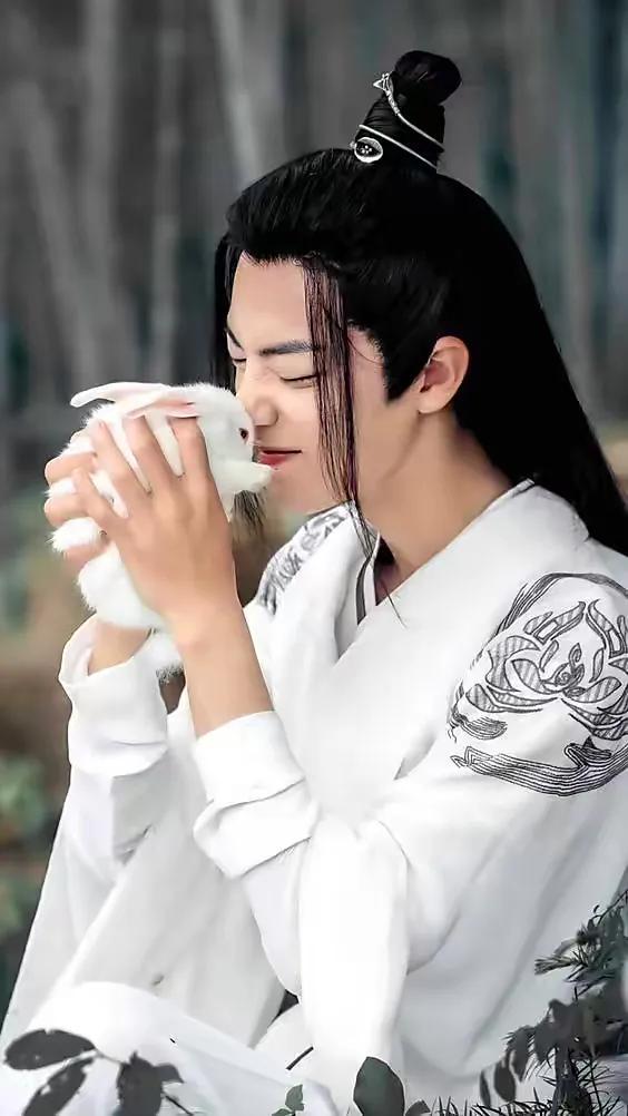 二,肖战《陈情令》
