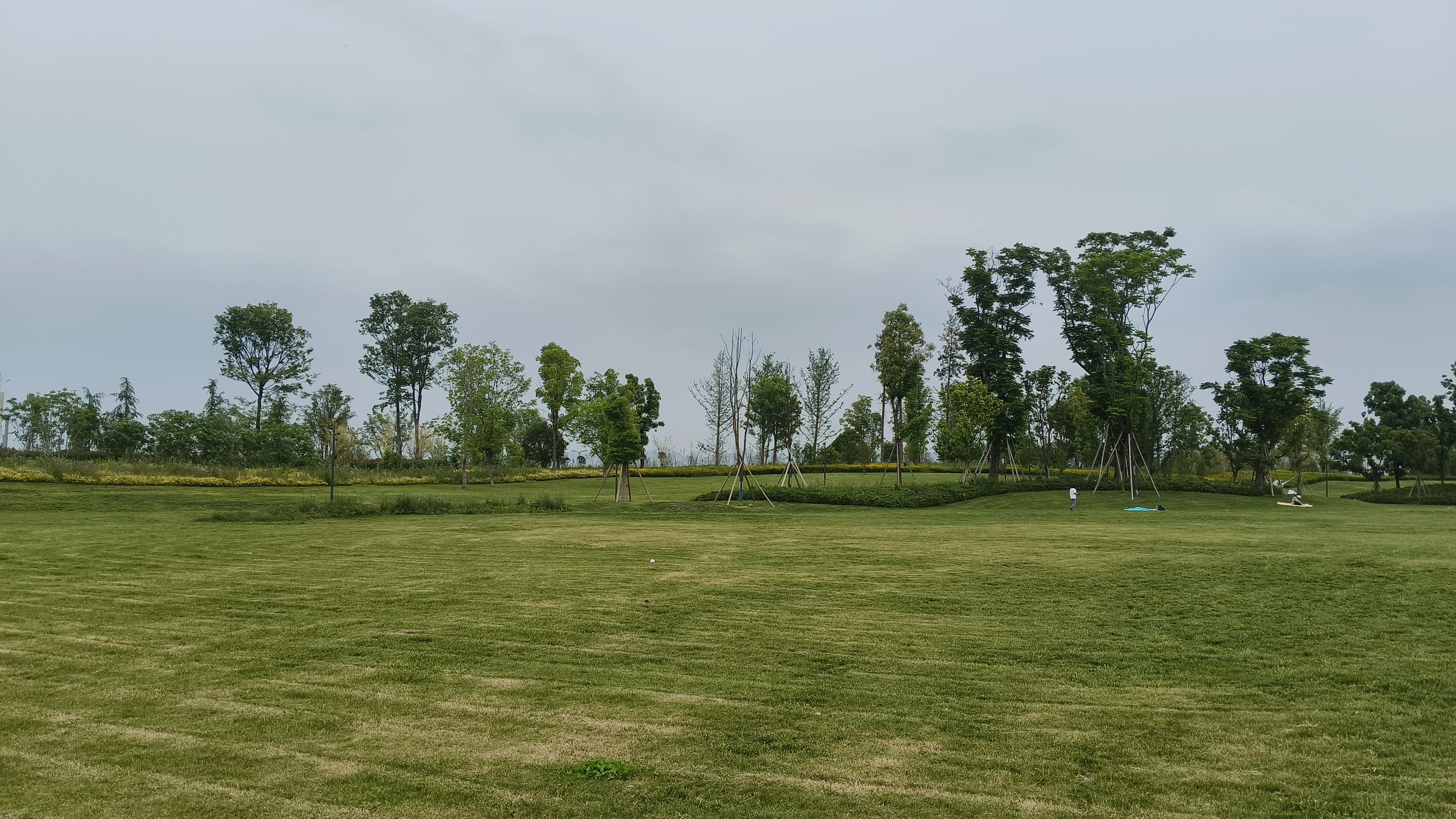 龙泉驿一日闲逛,建有大运会场馆的东安湖最美