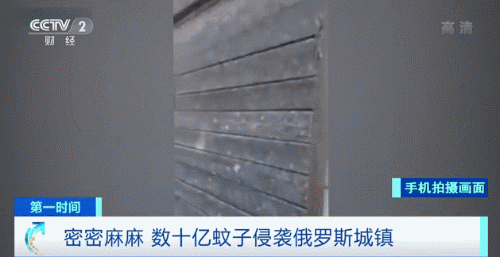 推荐数十亿只蚊子侵袭这座城！网友随手一抹，手上满是蚊子尸体……