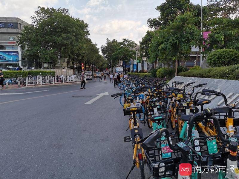 东圃地铁口附近共享单车占道,汽车被迫逆行!多方均称"难解决"