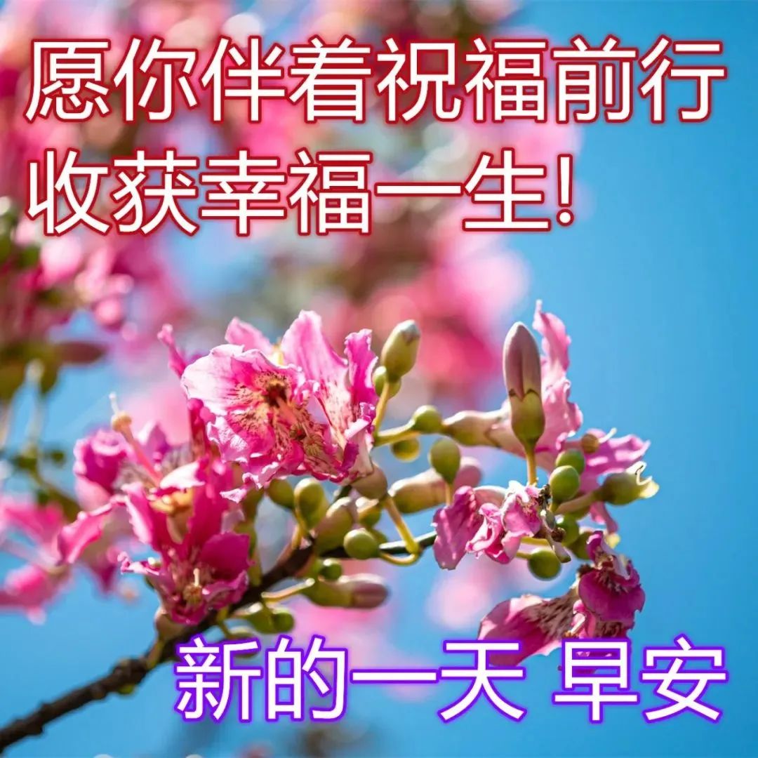 祝福朋友早上好早安图片大全 早上好早安暖心句子早安问候图片