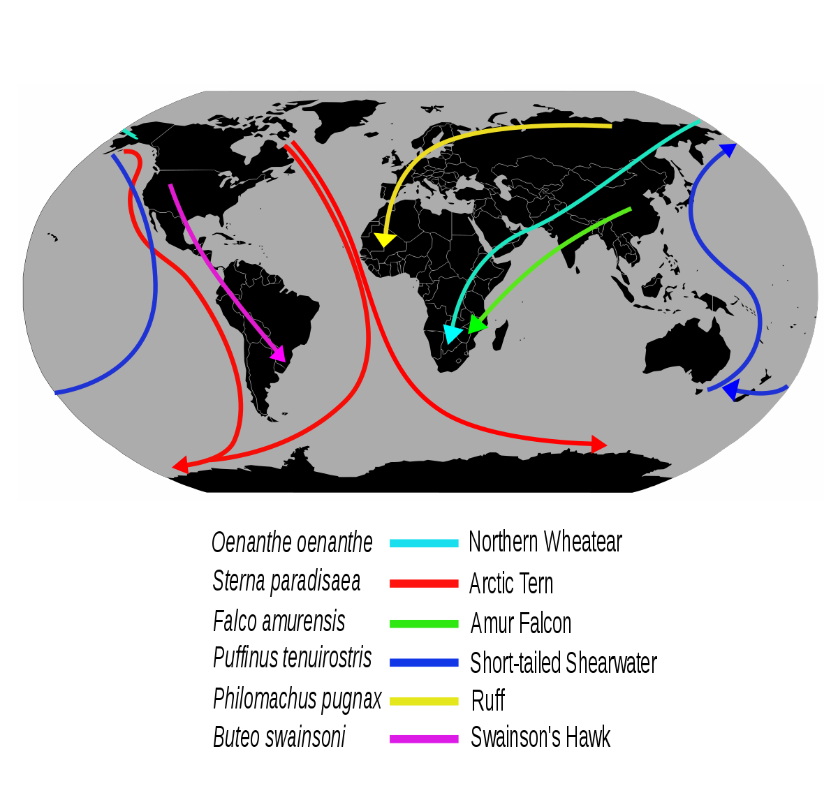 地球四季可能錯亂?科學家警告:夏季可能將達180天,冬季變更短