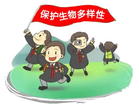 世界野生动植物日,长汀法院邀您共护最美汀州!