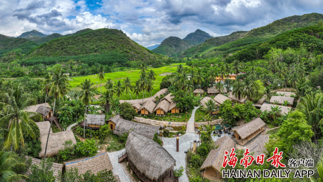 昌江洪水村:稻田飘香 美景如画
