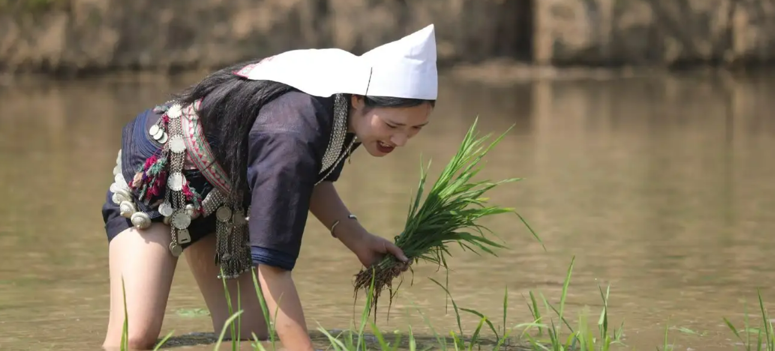 奕车族姑娘节图片图片