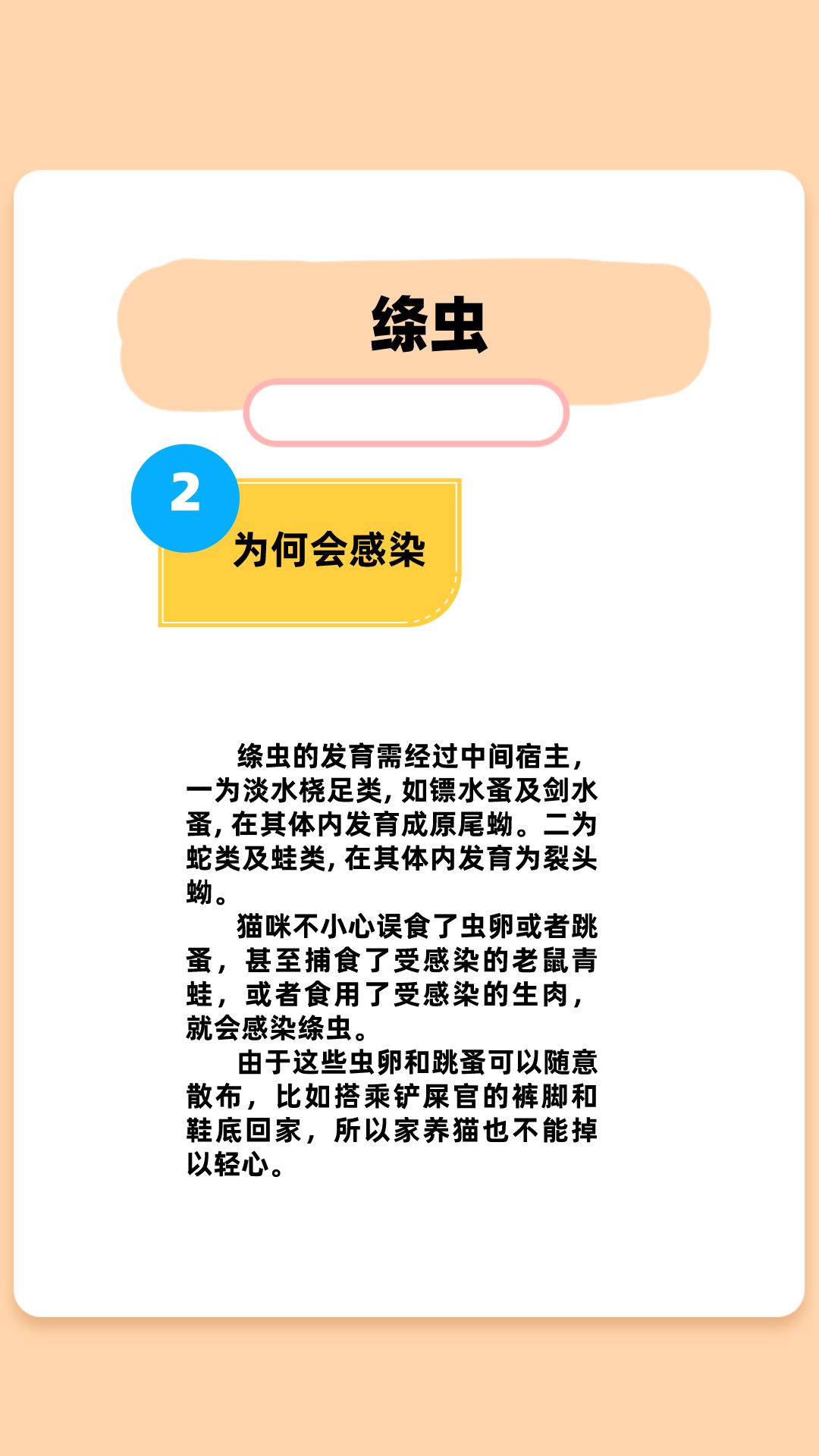 猫咪感染绦虫该怎么办,猫驱虫多久做一次比较好?