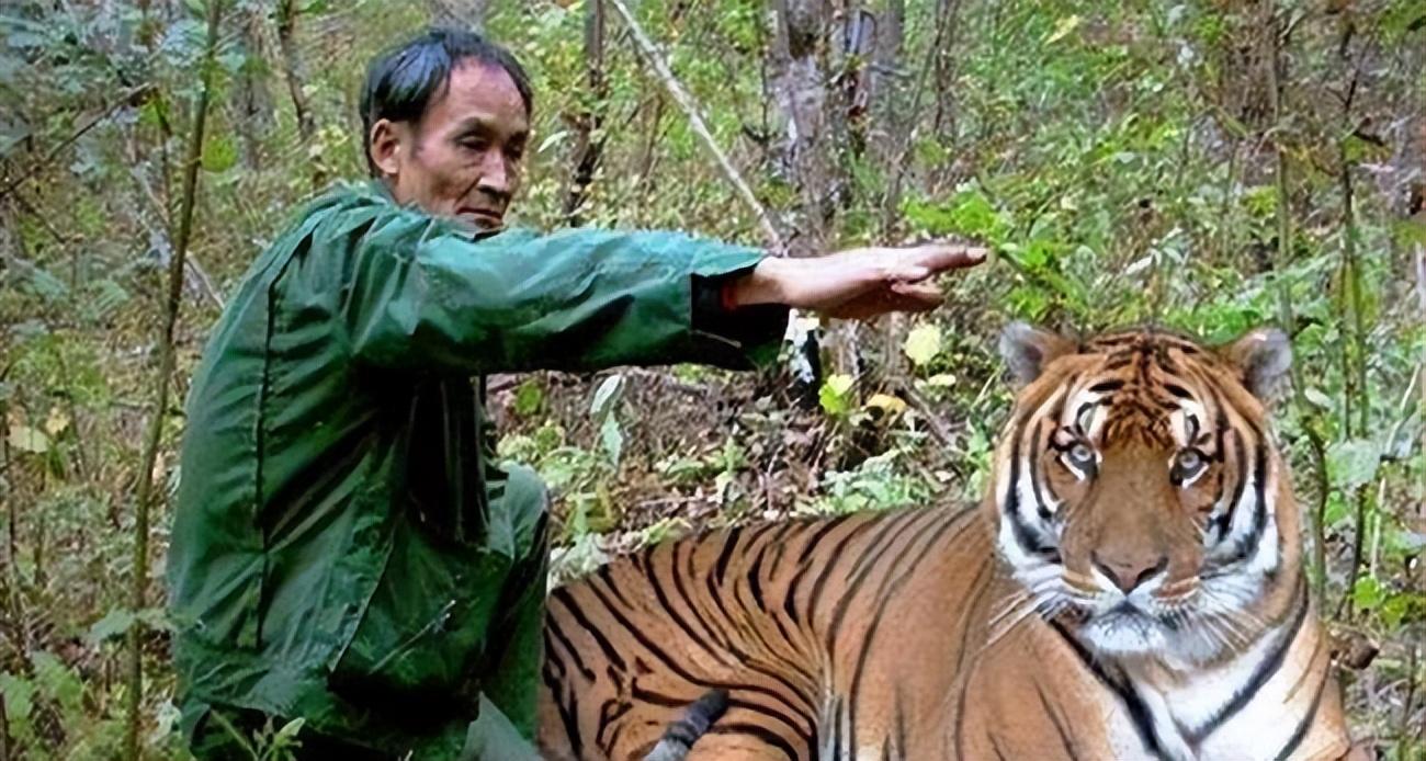 回顾那个因拍假老虎被判刑2年的陕西农民如今怎样了