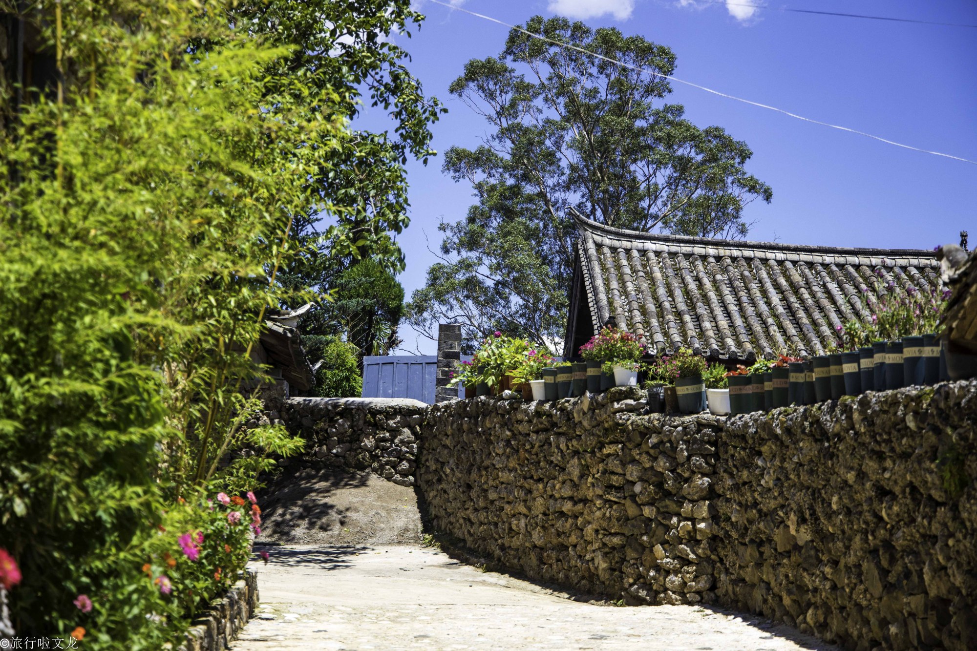 丽江旅行的小众宝藏地,玉龙雪山脚下的玉湖村,原生态的世外桃源