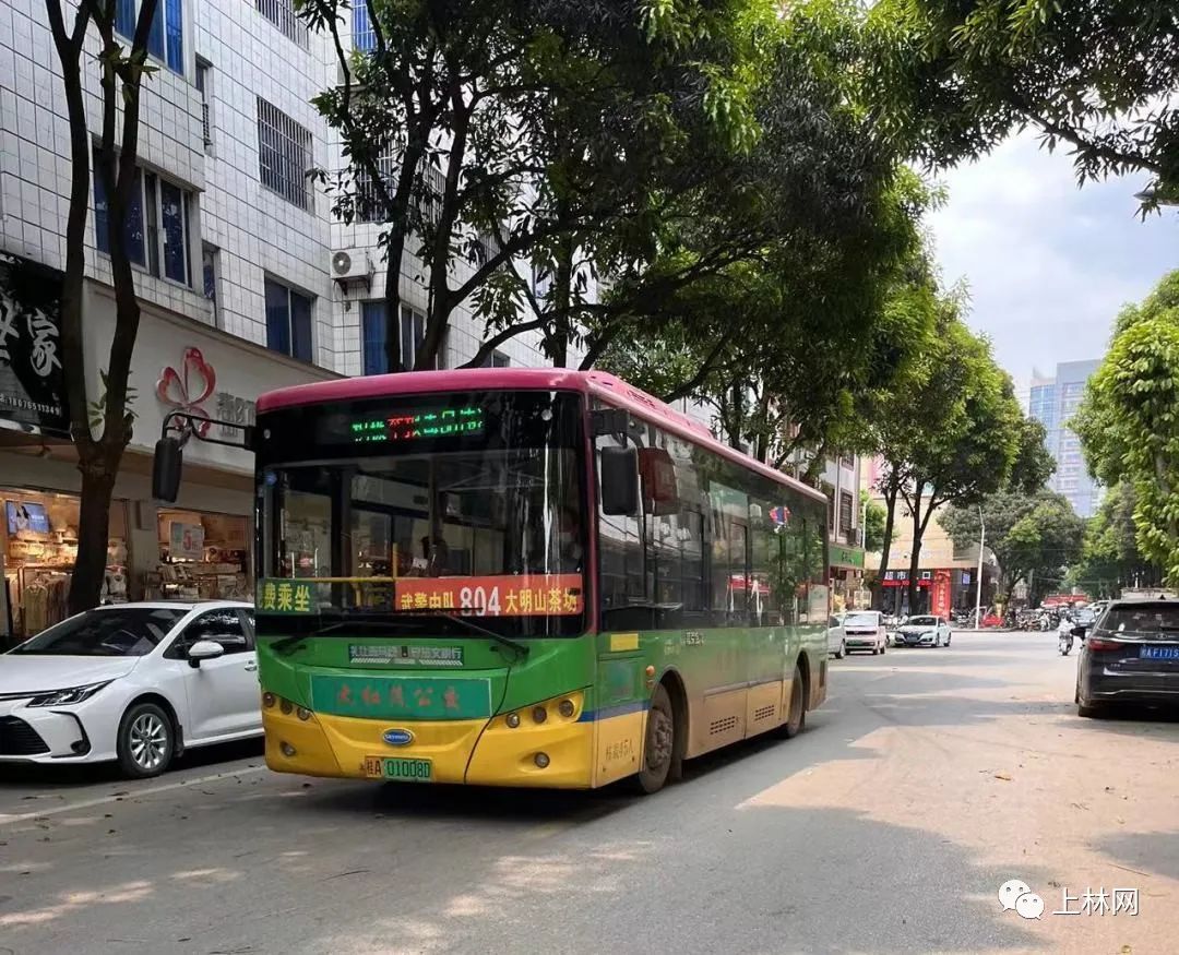 快看!上林这些公交车都是免费乘坐的,你有没有坐过?