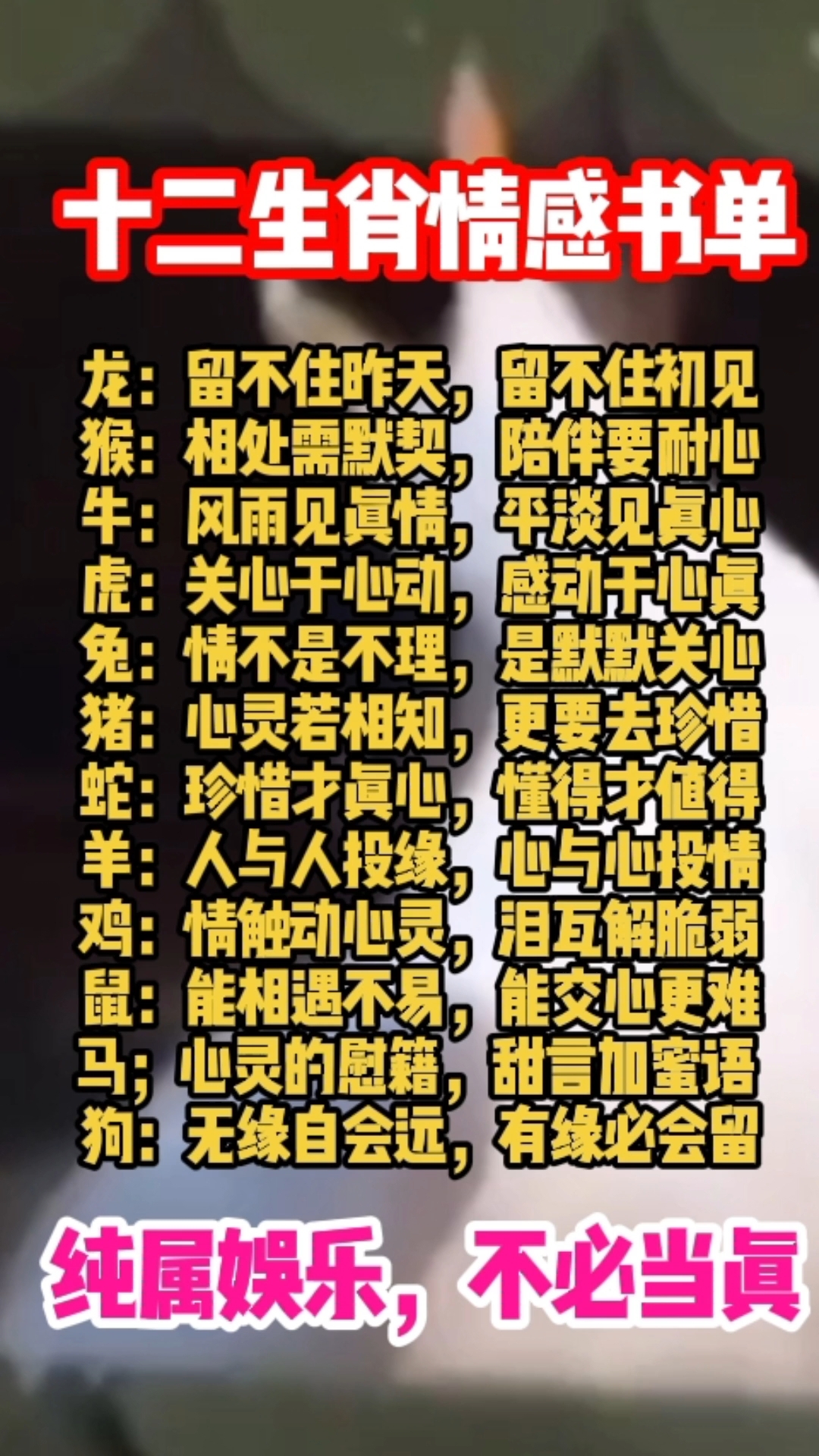 生肖情感运势图片(十二生肖情感性格分析)
