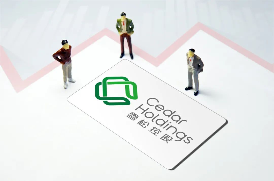 网传雪松控股内部"炒房"爆雷,员工钱房两空