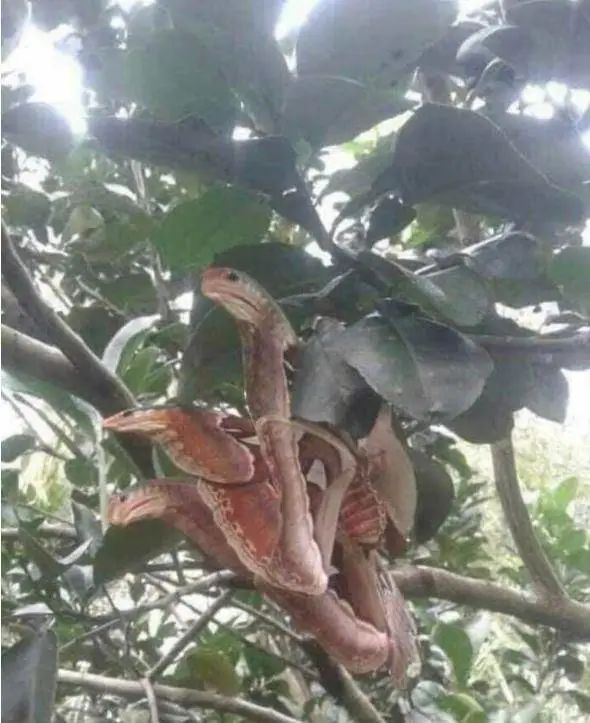 30张神奇的视觉错位照片,一张都没ps过!