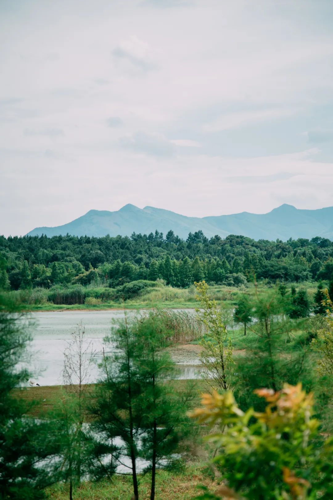 安吉野欢原营地|露营爱好者的自由王国
