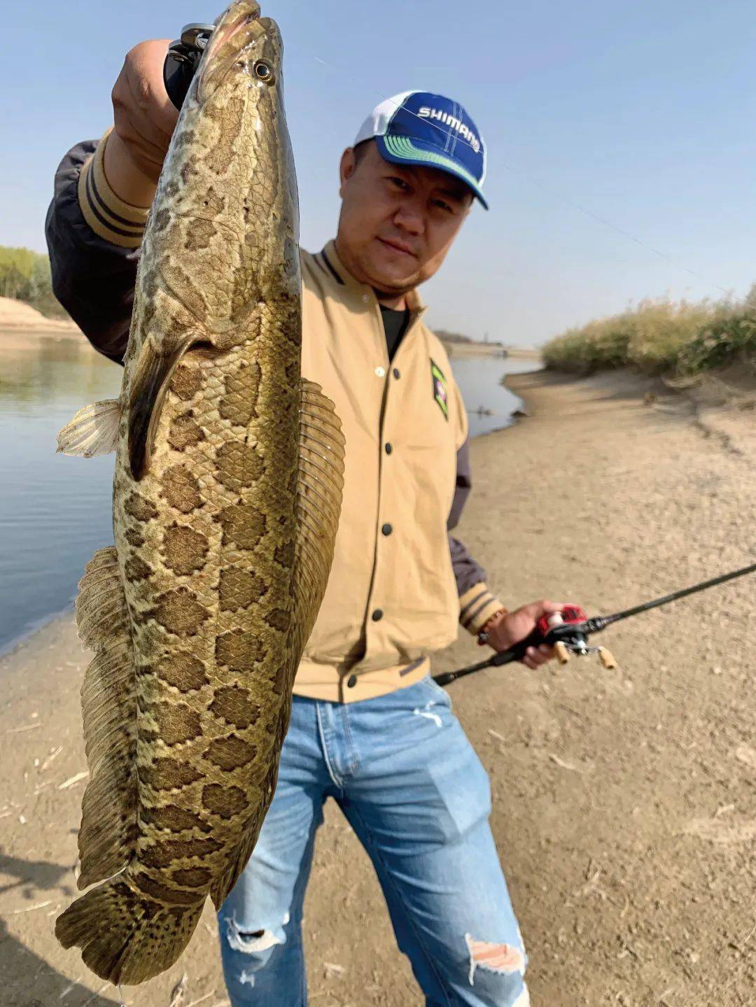 雷强钓法钓黑鱼好用吗?