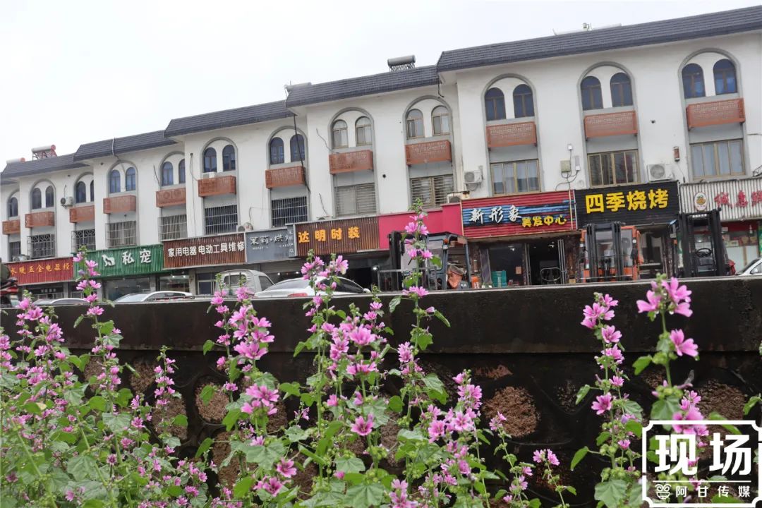 江苏张家港,港口镇,回不去了!