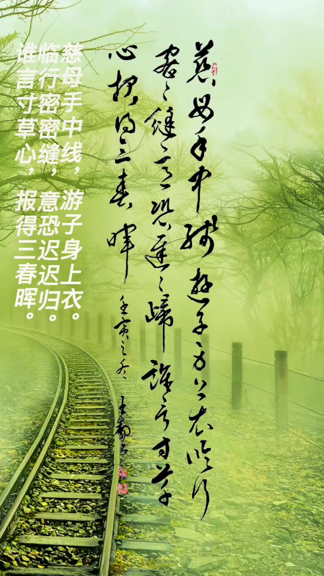 临行密密缝,意恐迟迟归.谁言寸草心,-度小视