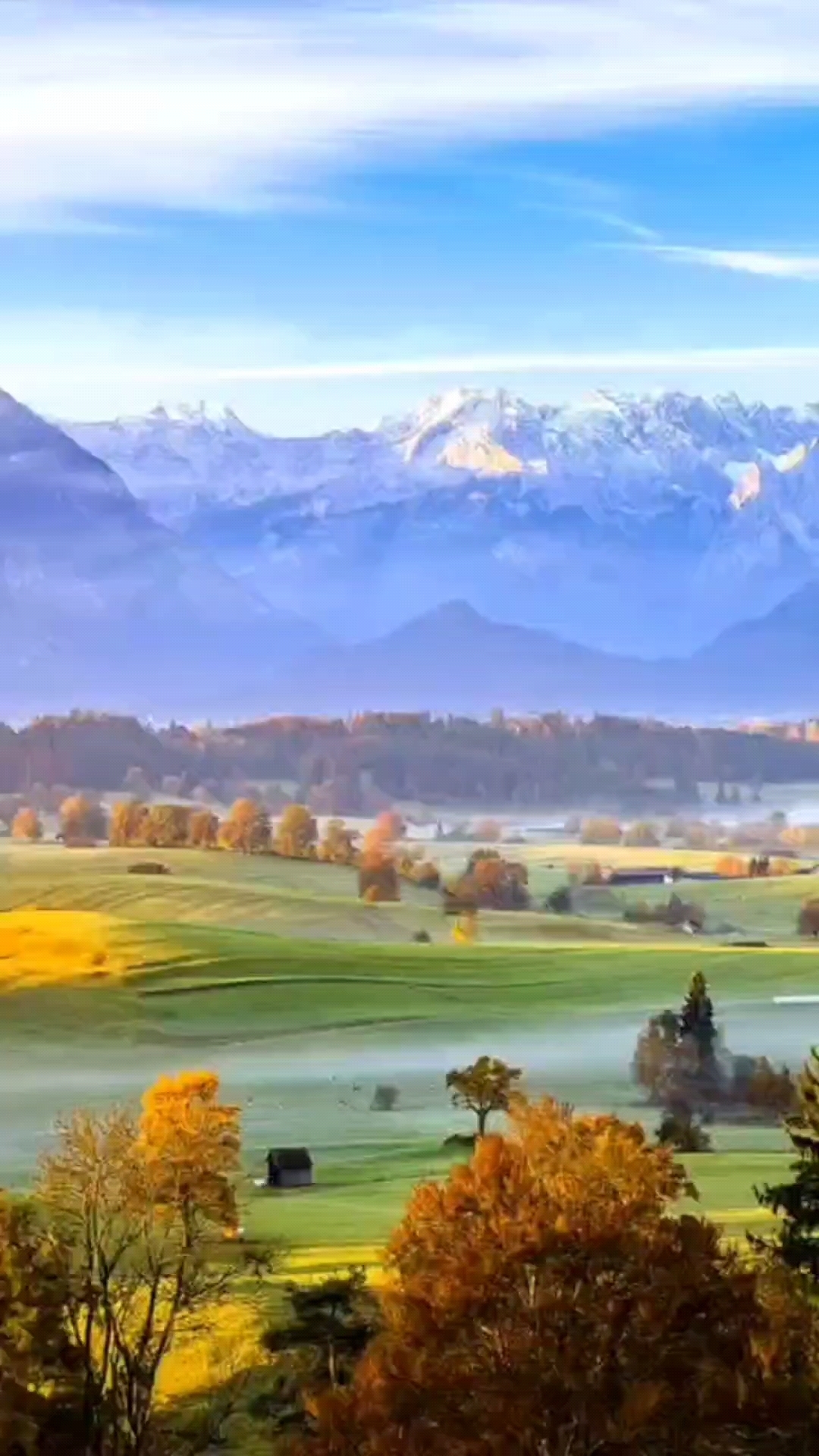 1080_1920竖版 竖屏