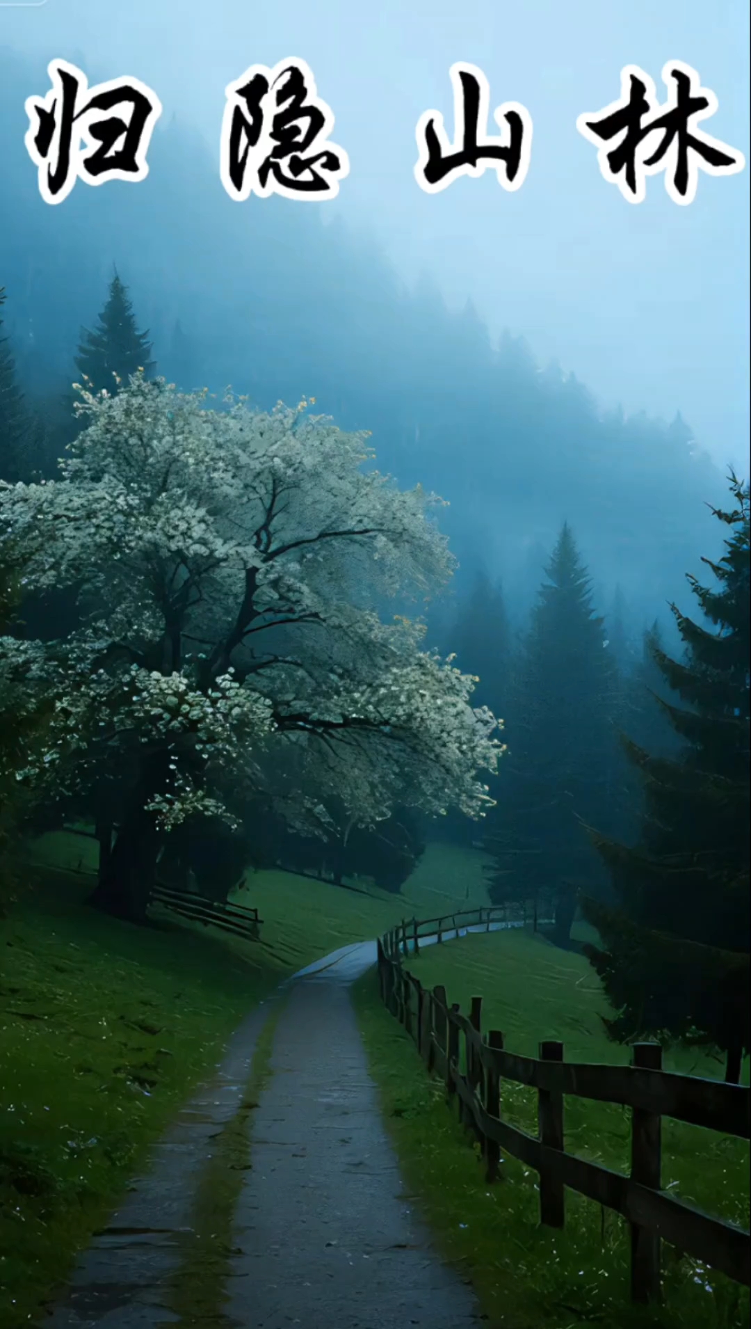 烟雨蒙蒙的山间美景,好像走进了人间仙境#治愈系风景#唯美意境