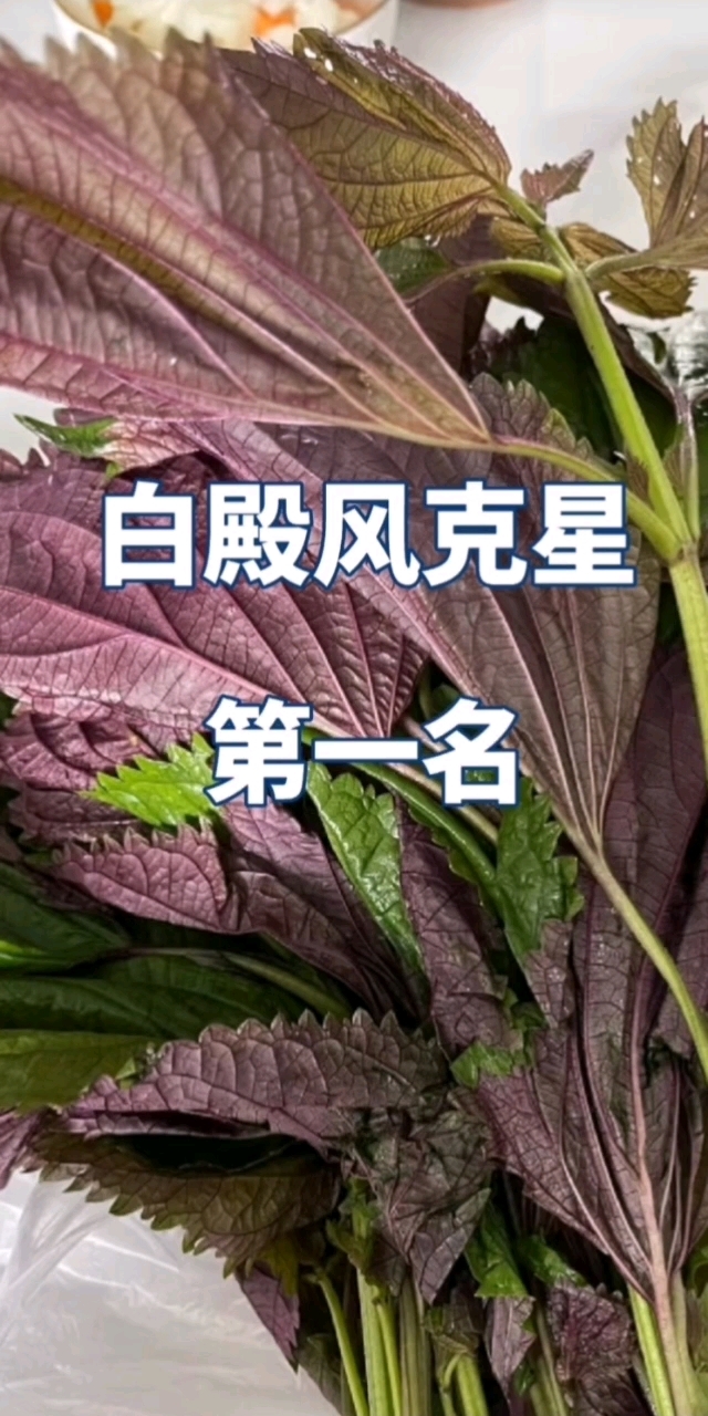 分享视频