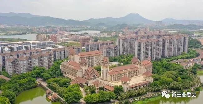 丰泰裕田花园首届业主委员会工作总结报告