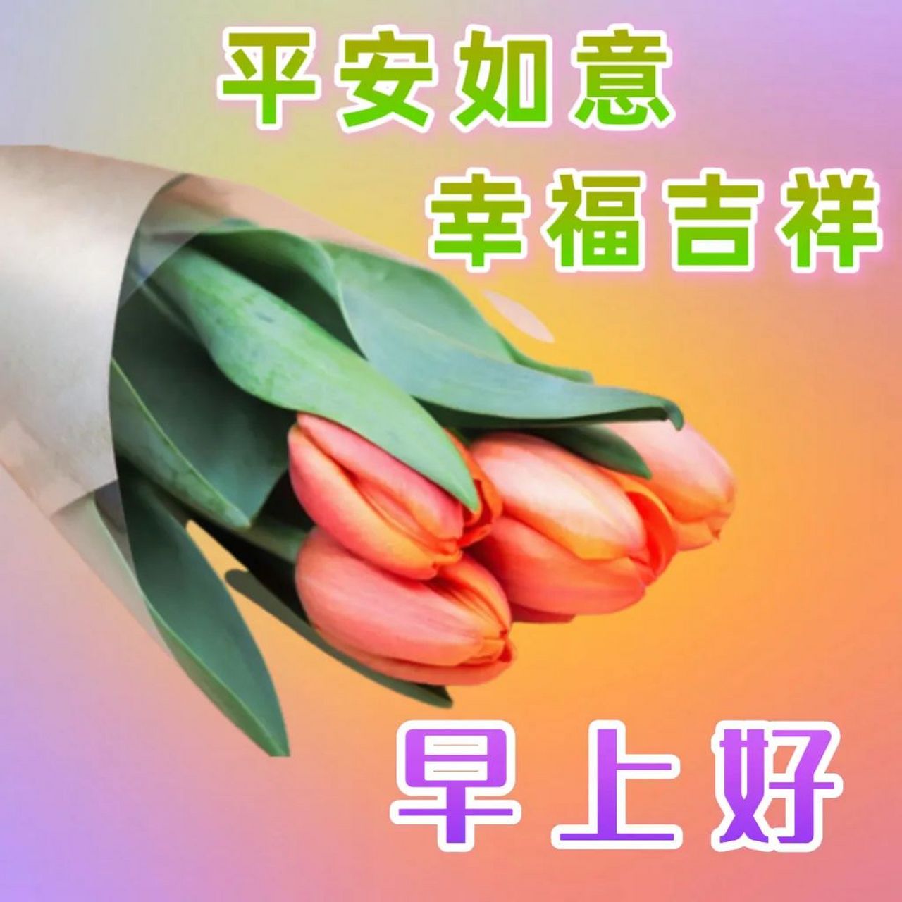 早上祝福语及图片图片