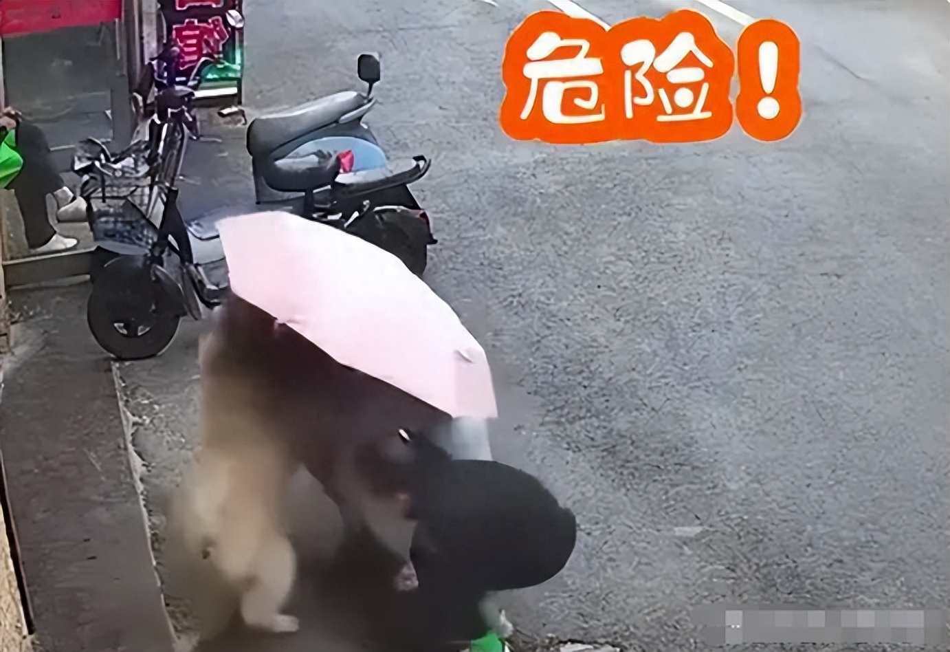 松狮咬人反转!女子有拔毛动作,主人态度逆转拒赔偿,狗狗已离世