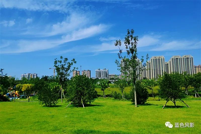 速看︱锦东公园正午时光里的景色