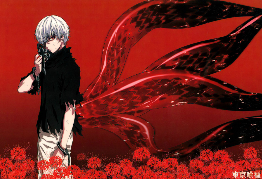 日本女星是动漫重度宅女,给二次元老公排名,金木研成第一