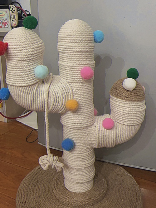 自制猫抓柱教程:花费几十自制仙人掌猫抓架教程来啦