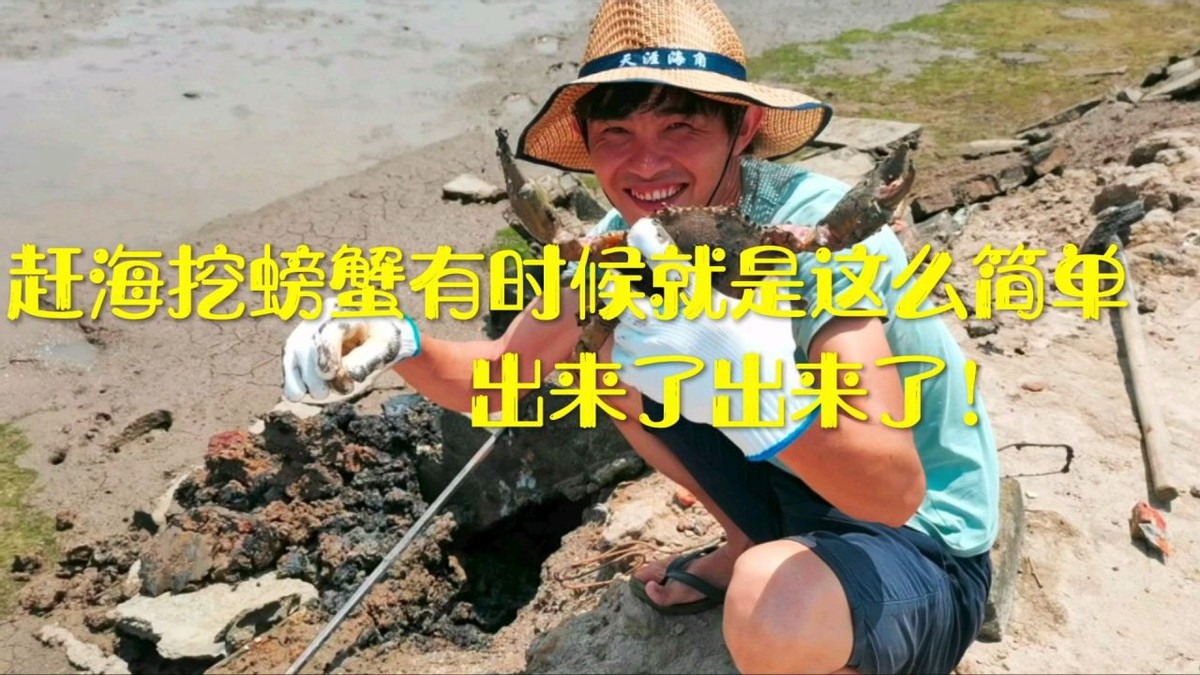 原來趕海還可以這樣造假,騙了多少內陸人,自埋自挖演技真高