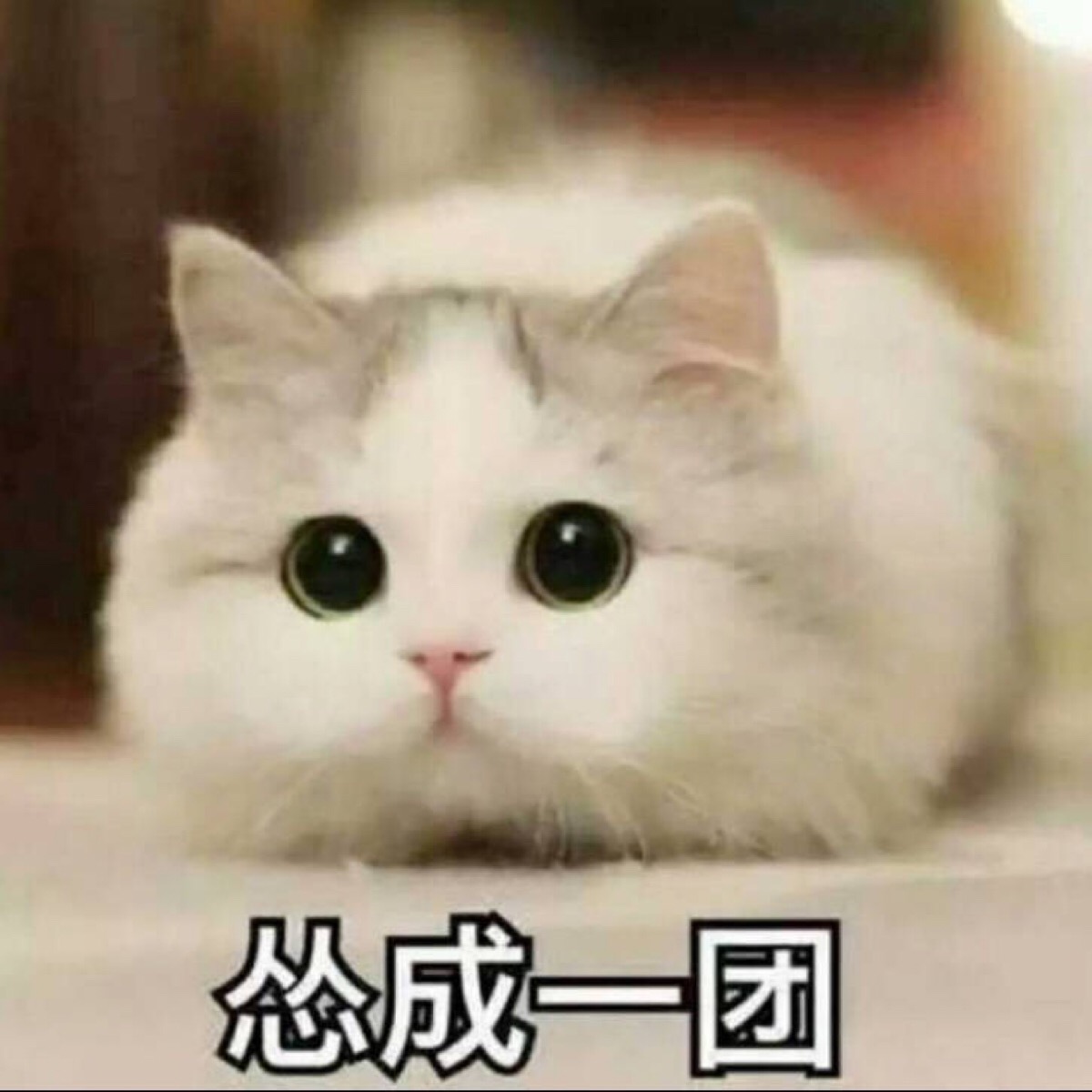 「最远的距离74」做菜?在英国那两年迫不得已学会的