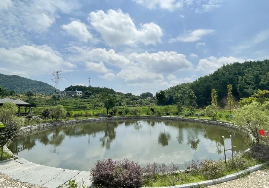 看中国艾都 蕲春会龙池 山灵水秀