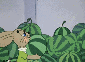 西瓜皮的花式打开方式,你get了吗?