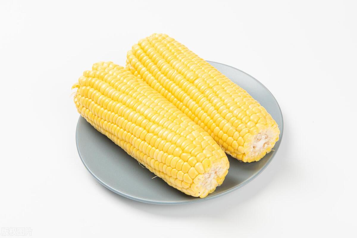 「黑土熊猫」黑土熊猫鲜食玉米打造东北寒地新名片