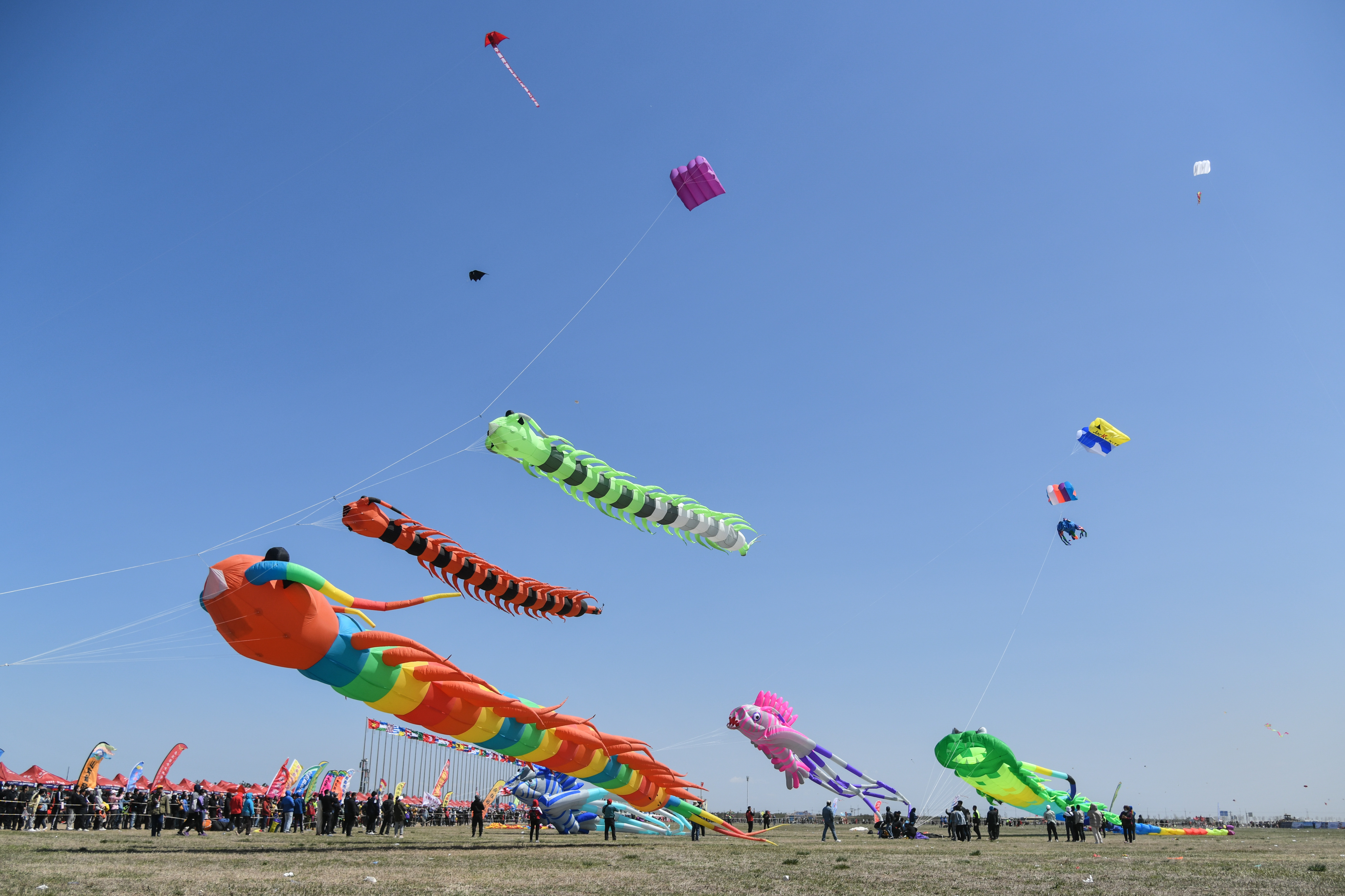 第38届潍坊国际风筝会放飞比赛举行