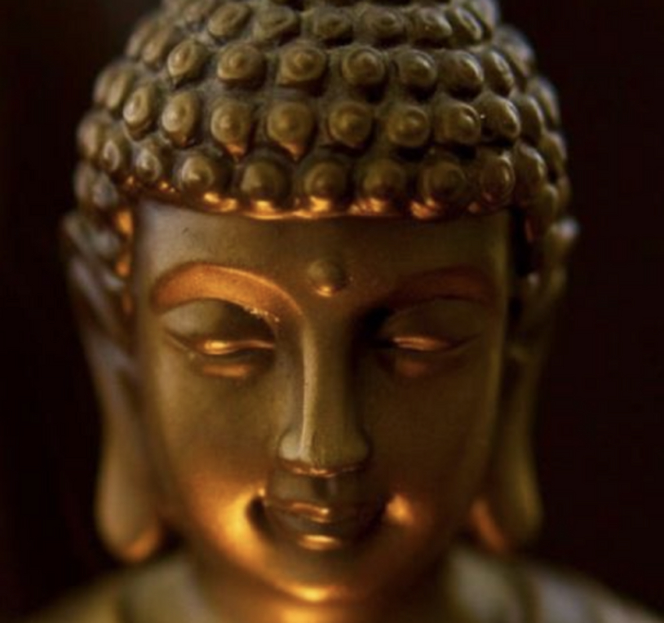 1993年,越南平阳有个尼姑,头上长有跟释迦摩尼佛一样的肉髻,被当地