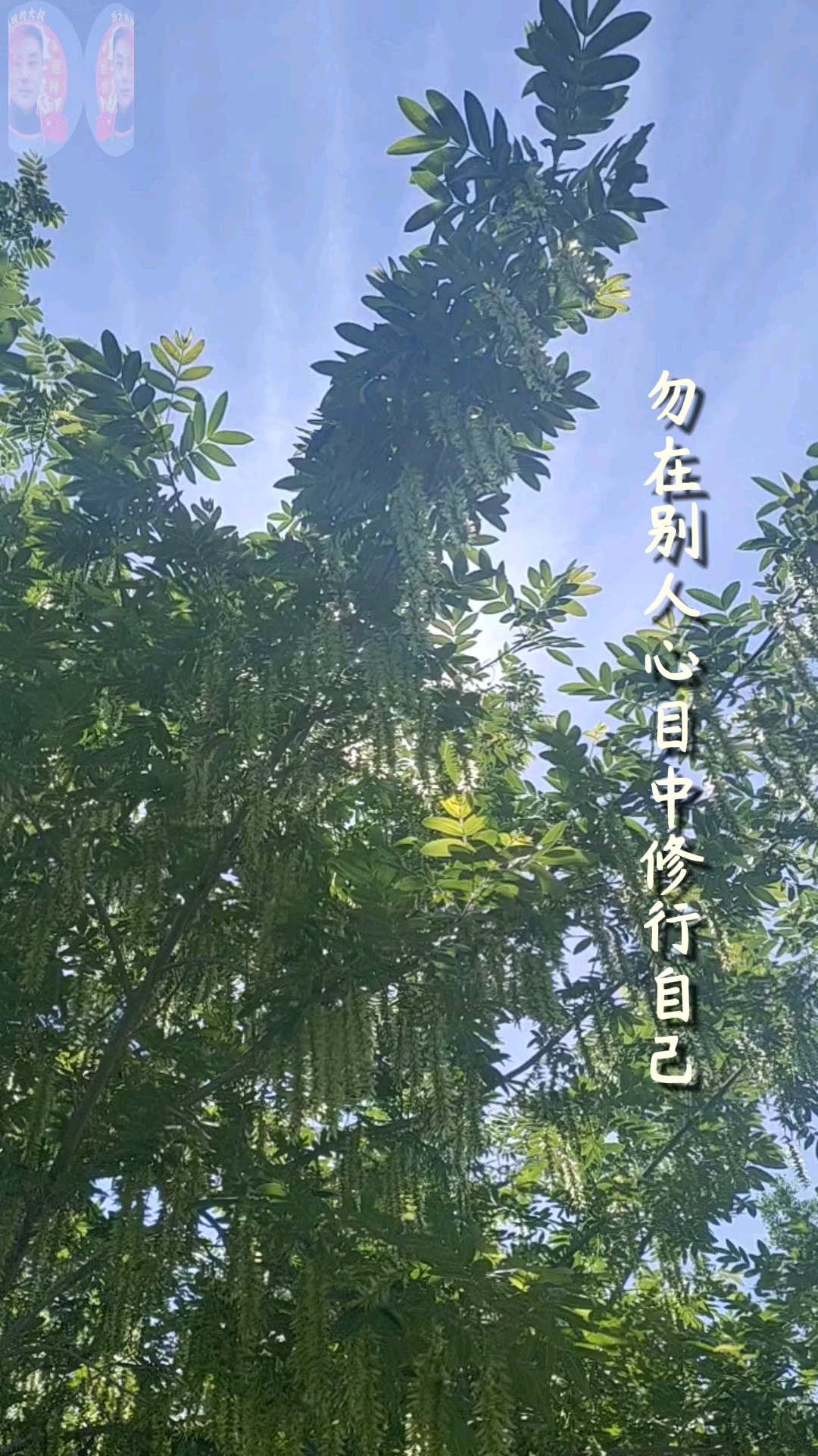 让一切顺其自然就好