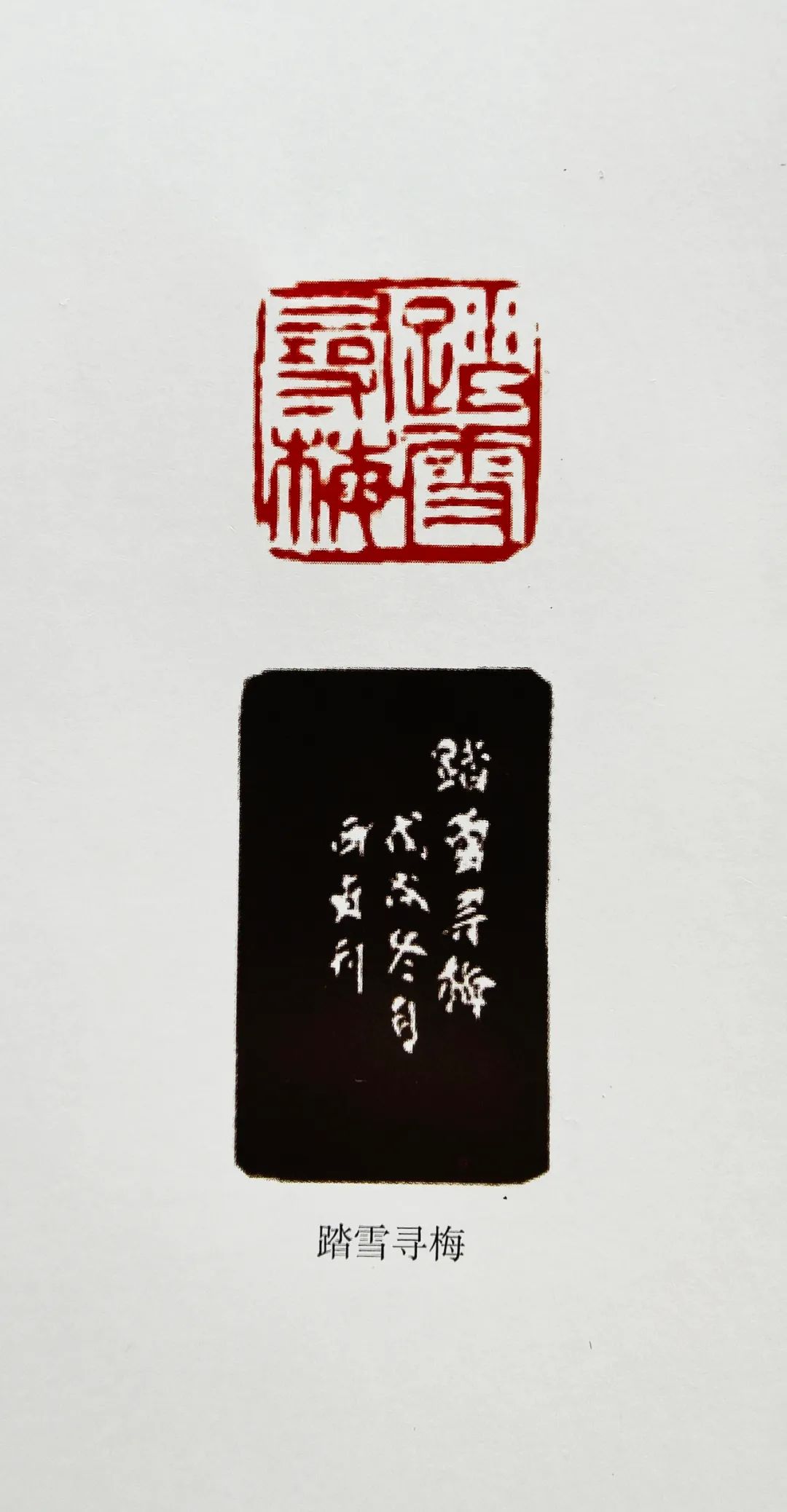 孙西贞|福虎迎春·丹青贺岁—全国优秀书画名家作品展