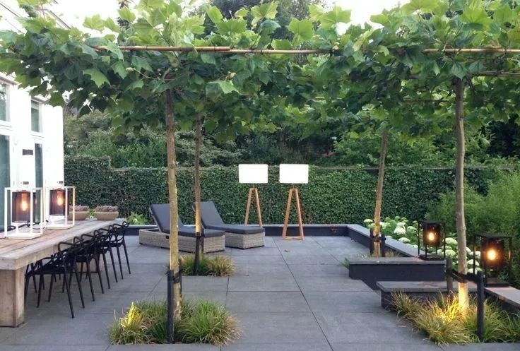 根据空间的闭合程度,将植物景境空间分为3种,你知道几种?