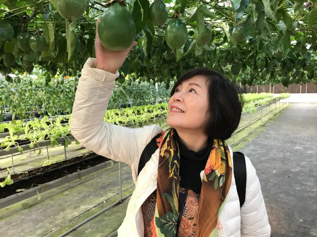 王秋燕:用心用笔为中国航天人树碑立传