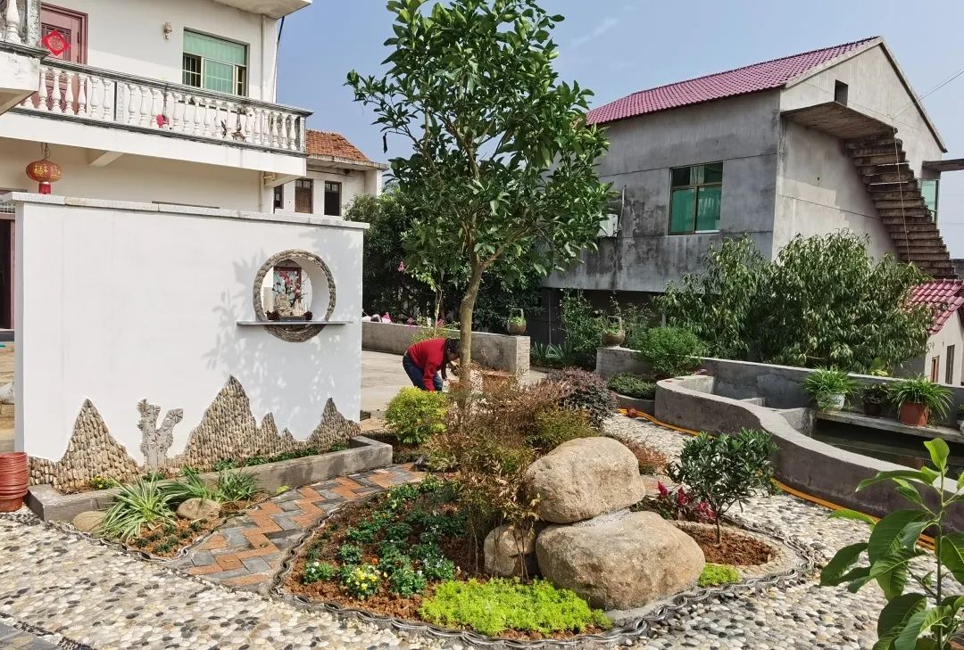 美家美院美生活  最美巾帼女主人|鞋塘篇