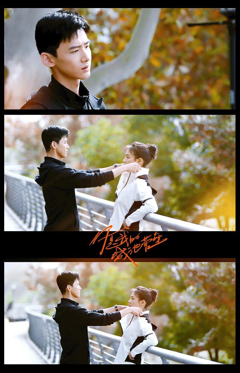 你是我的城池营垒:聊聊剧情,哪里戳到你