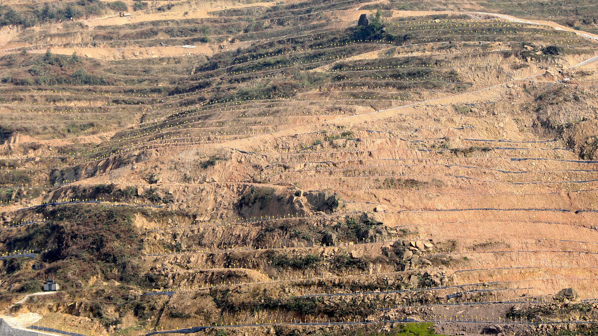 四川华蓥市华龙办事处上坝桥村昔日荒山坡,经过改造后种上了蜜梨