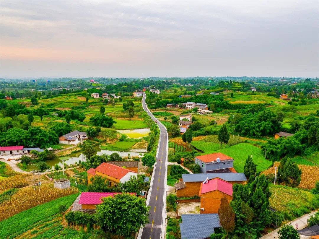 18年老汉看视频,突然指着屏幕上乞丐大叫:这是我出国挣大钱的儿子