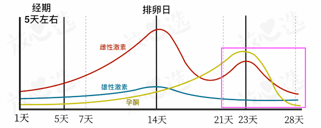 为什么排卵期长痘痘