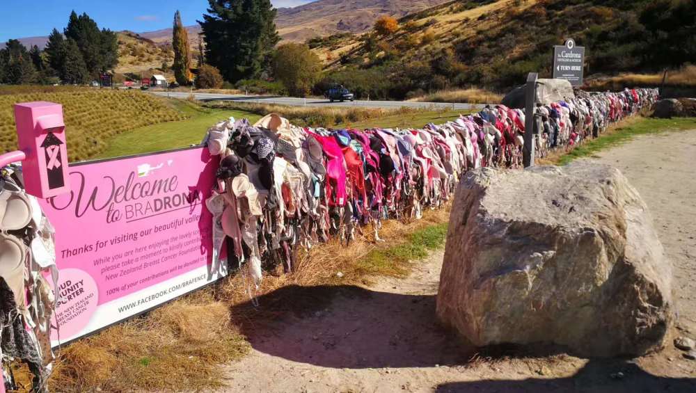 新西兰网红"内衣墙",女孩自愿脱下内衣,却遭男性强烈反对