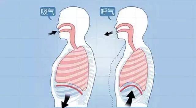 如果把肺內咳出的痰嚥下去,會對人體產生危害嗎?看完漲知識了