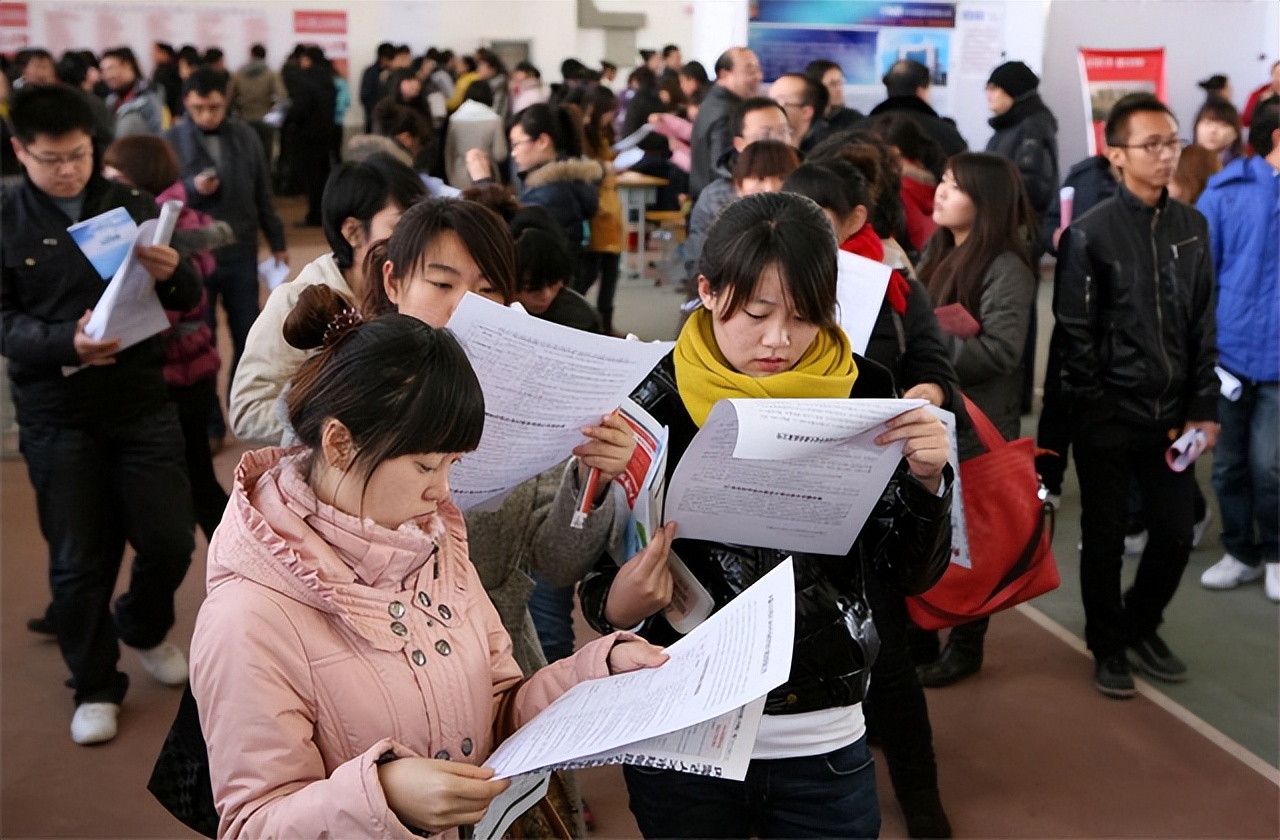 "年轻人找工作别挑三拣四,郑强教授一语中的,戳中大学生的心