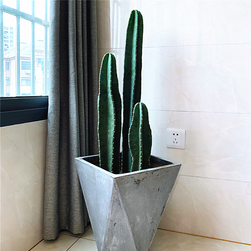 客厅养花讲究大,几个"禁区"别养花,养一盆枯一盆,还影响风水